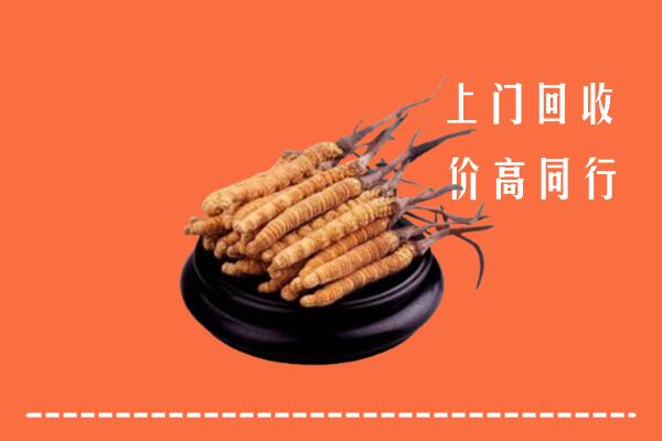 高价求购：云冈区回收散虫草