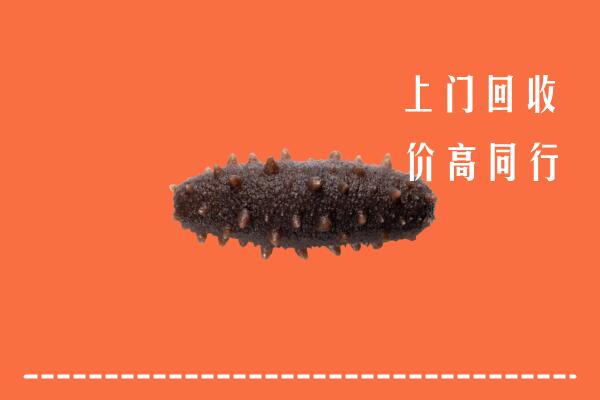 云冈区回收海参