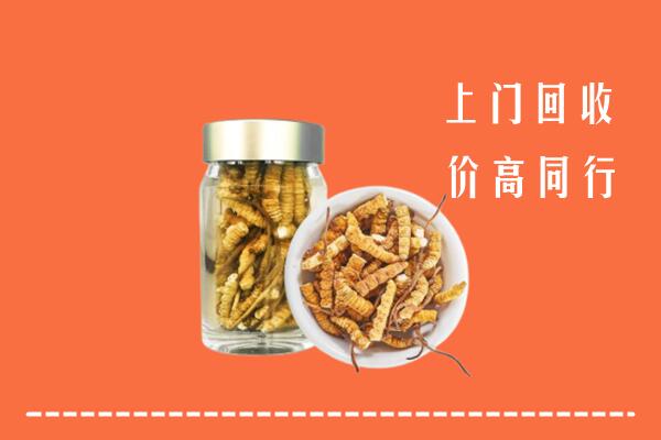 云冈区回收冬虫夏草