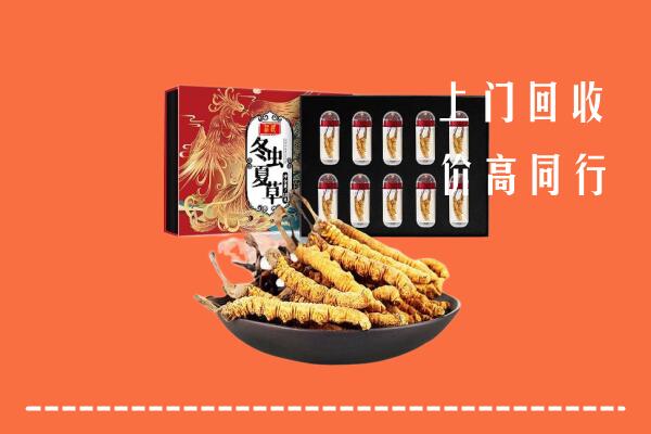 云冈区回收虫草